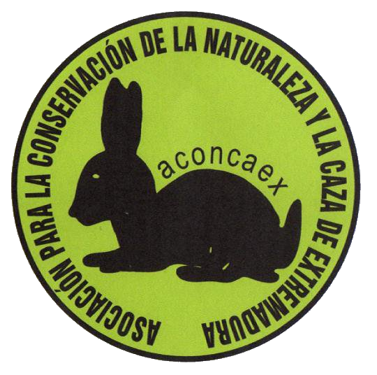 aconcaex